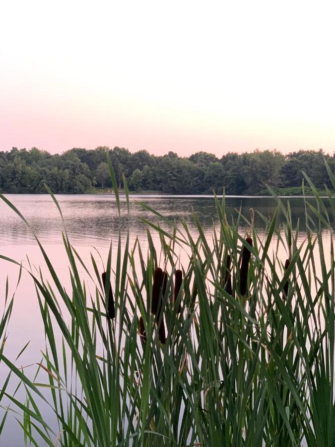 Ferienhaus Seeblick Am Harkebruegger See Mit Sauna Und Kamin Barssel  Экстерьер фото